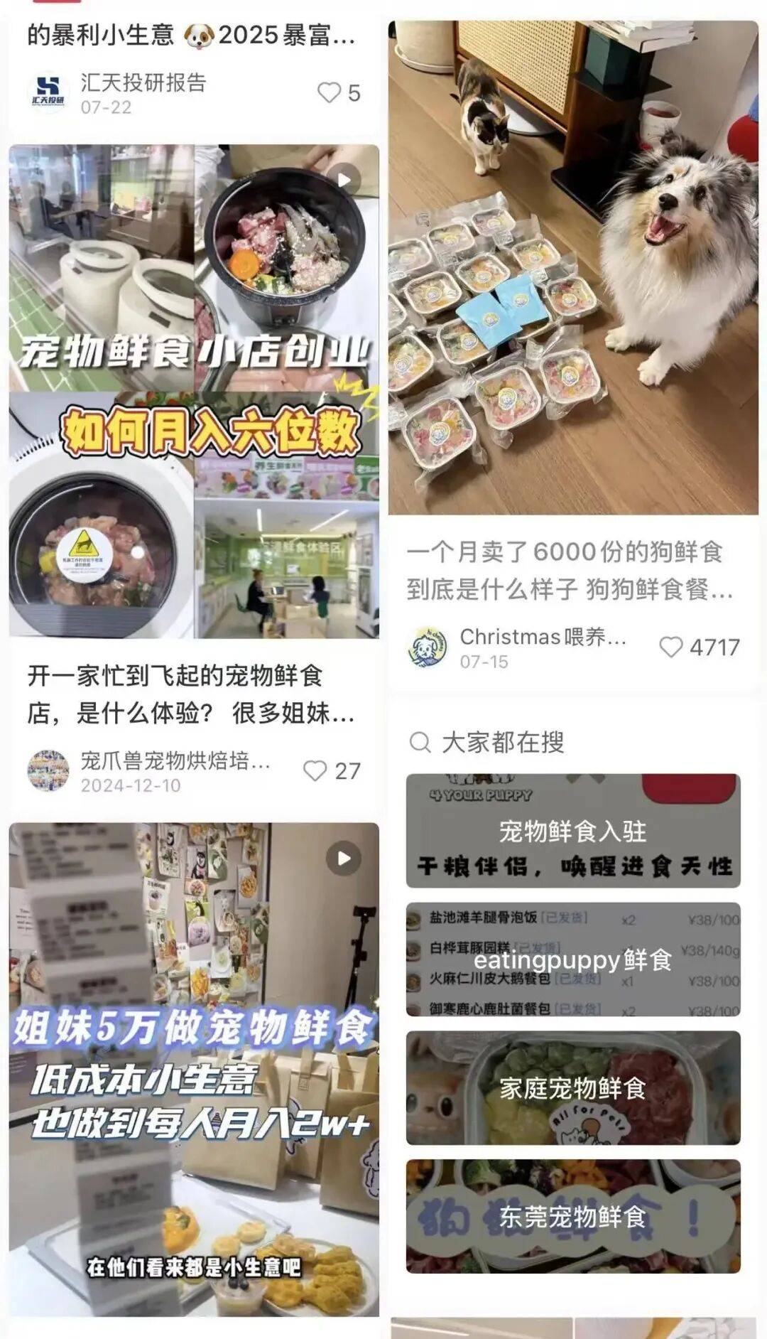 创业者们扎堆涌入鲜粮新赛道开元棋牌当宠物吃上“便当”(图2)