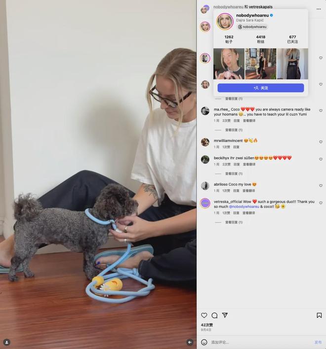 美把160美元的猫爬架卖成了爆款开元棋牌你没听过的上海品牌在北(图2)