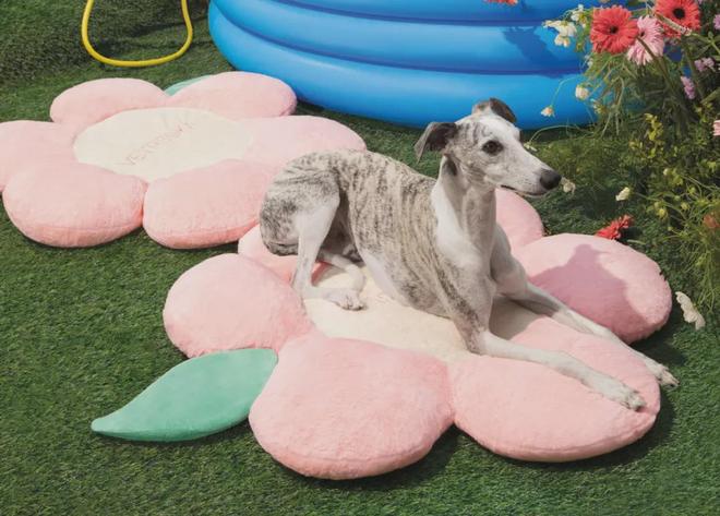 美把160美元的猫爬架卖成了爆款开元棋牌你没听过的上海品牌在北(图7)