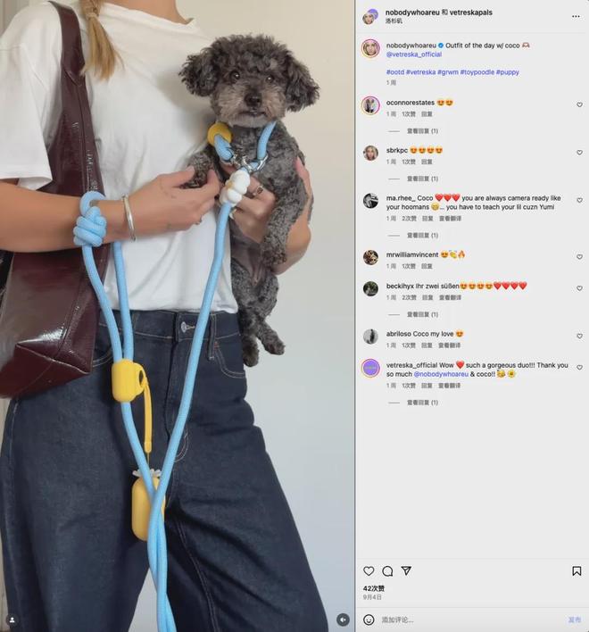 美把160美元的猫爬架卖成了爆款开元棋牌你没听过的上海品牌在北(图8)