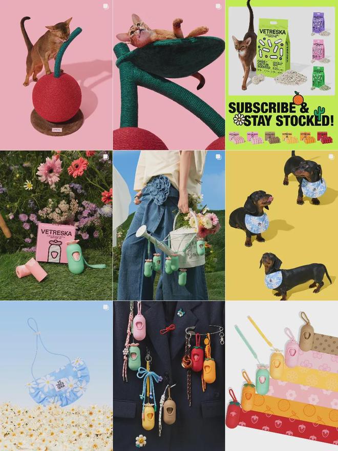 美把160美元的猫爬架卖成了爆款开元棋牌你没听过的上海品牌在北(图6)