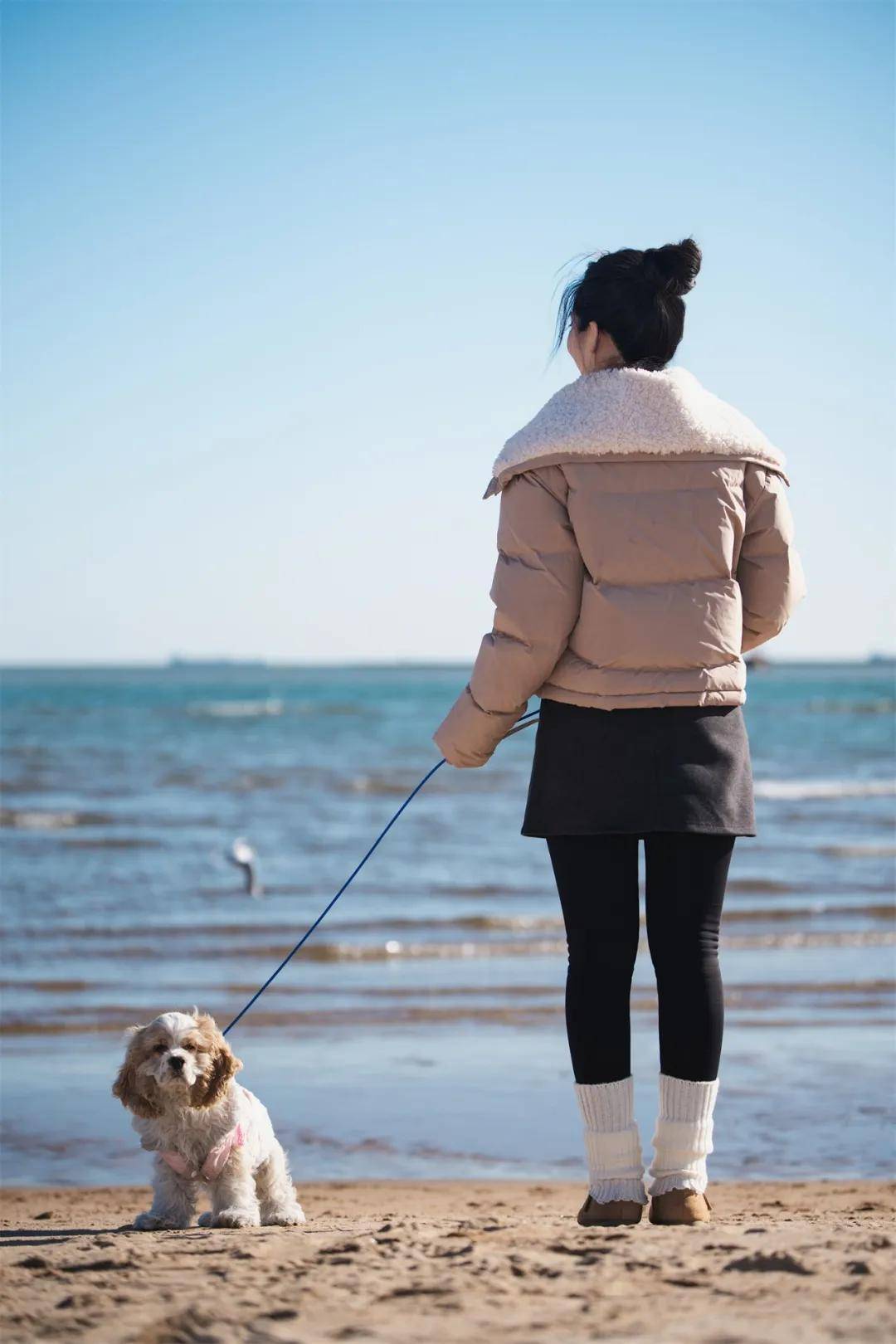 食：馋鲜美味 宠爱加倍开元棋牌馋宠官宠物鲜