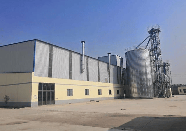 衔猫粮狗粮猫粮狗粮全价全价成成犬粮幼幼犬粮无谷粮十大科学营养配开元棋牌2026年