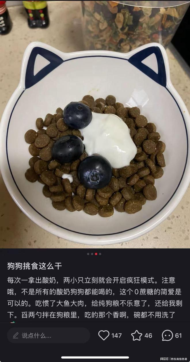 方”撬动萌宠经济与母婴信任双赛道开元棋牌app简爱酸奶以“纯净配(图3)