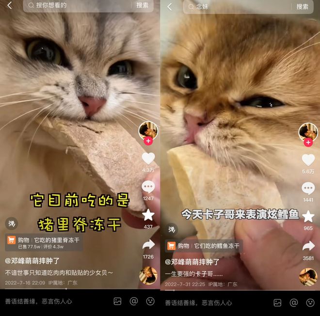 op3这条千亿赛道杀出一匹黑马开元棋牌网站年销2亿抖音类目T(图3)