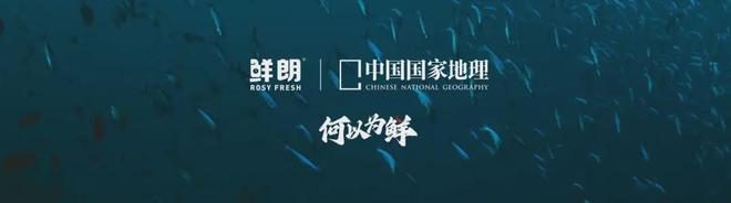 内首个《鲜肉烘焙全价宠物食品》标准开元棋牌从开创到引领：鲜朗发布国(图1)