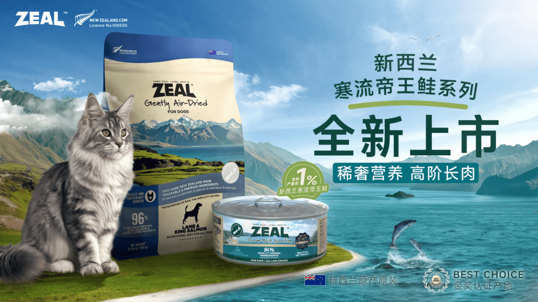 I大奖把宠食营销卷出新高度开元棋牌ZEAL斩获TB(图1)